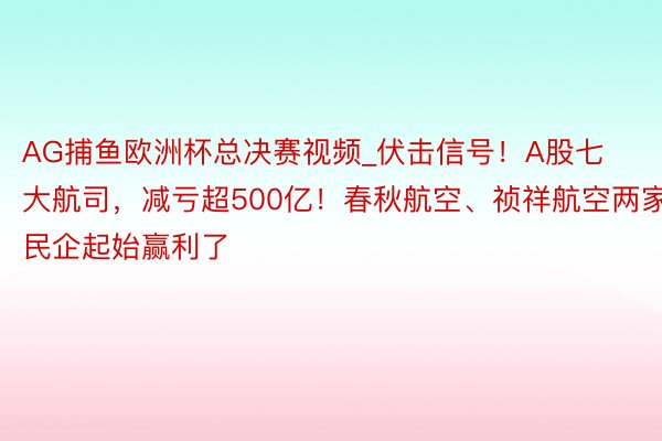 AG捕鱼欧洲杯总决赛视频_伏击信号！A股七大航司，减亏超500亿！春秋航空、祯祥航空两家民企起始赢利了