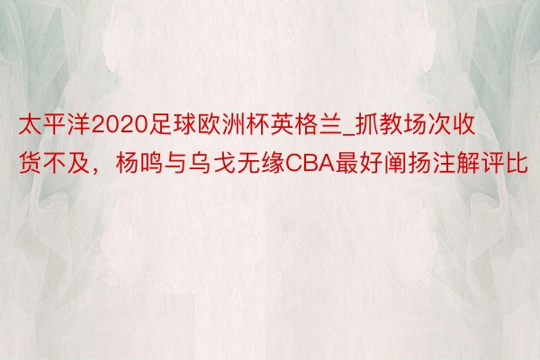 太平洋2020足球欧洲杯英格兰_抓教场次收货不及，杨鸣与乌戈无缘CBA最好阐扬注解评比