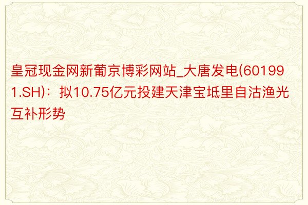 皇冠现金网新葡京博彩网站_大唐发电(601991.SH)：拟10.75亿元投建天津宝坻里自沽渔光互补形势