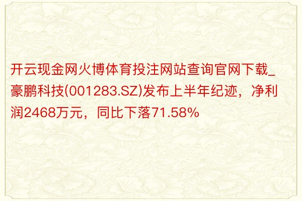 开云现金网火博体育投注网站查询官网下载_豪鹏科技(001283.SZ)发布上半年纪迹，净利润2468万元，同比下落71.58%