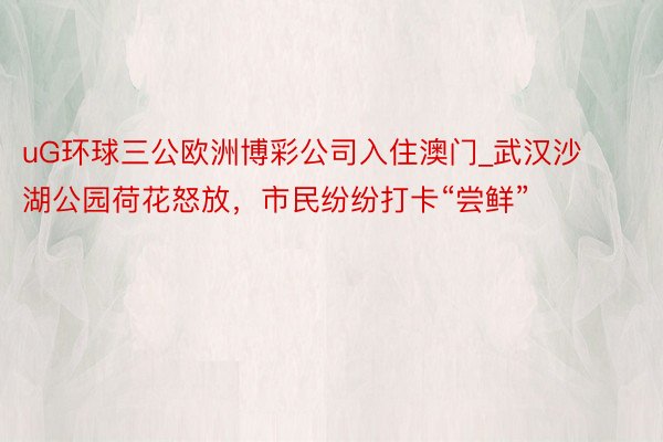 uG环球三公欧洲博彩公司入住澳门_武汉沙湖公园荷花怒放，市民纷纷打卡“尝鲜”